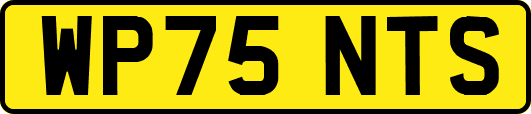 WP75NTS