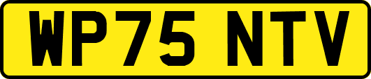 WP75NTV