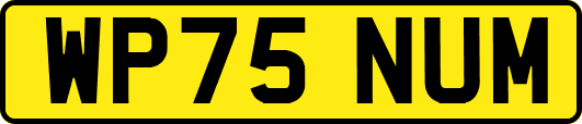 WP75NUM