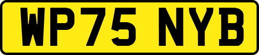 WP75NYB