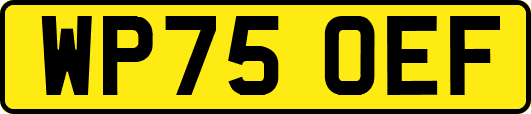 WP75OEF