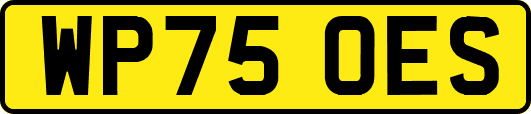 WP75OES