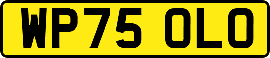 WP75OLO