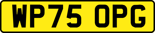 WP75OPG