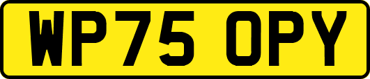 WP75OPY