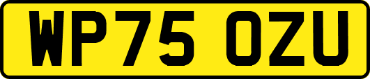 WP75OZU