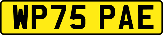 WP75PAE