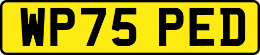 WP75PED