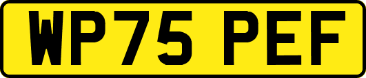 WP75PEF