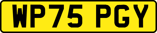 WP75PGY
