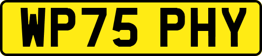 WP75PHY