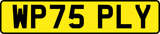 WP75PLY