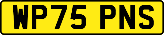 WP75PNS