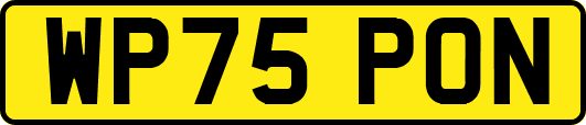 WP75PON