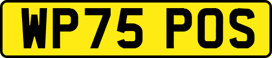 WP75POS