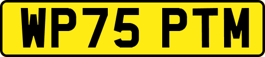 WP75PTM
