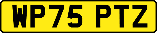 WP75PTZ