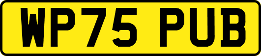 WP75PUB
