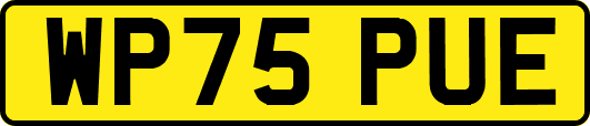 WP75PUE