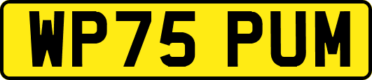 WP75PUM