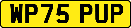 WP75PUP