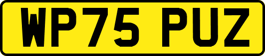 WP75PUZ