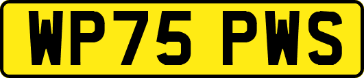 WP75PWS