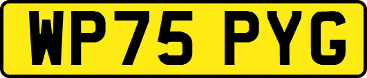 WP75PYG