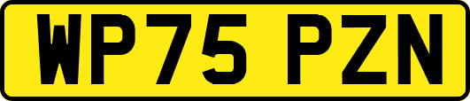 WP75PZN