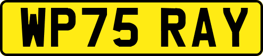 WP75RAY