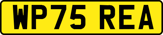 WP75REA