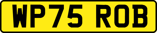 WP75ROB