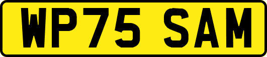 WP75SAM