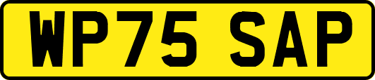 WP75SAP