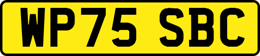 WP75SBC