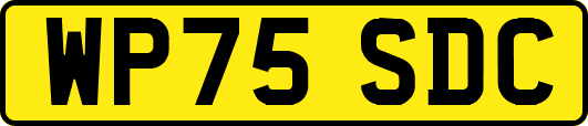 WP75SDC