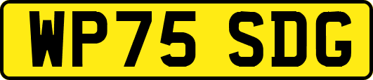 WP75SDG