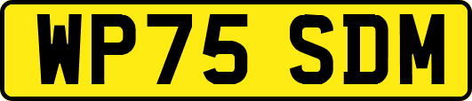 WP75SDM