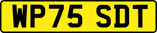 WP75SDT