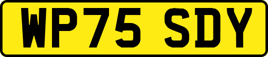 WP75SDY
