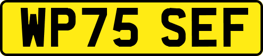 WP75SEF