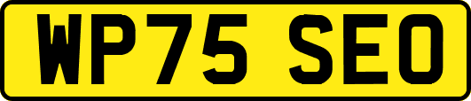 WP75SEO