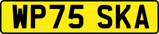 WP75SKA