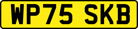 WP75SKB
