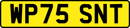 WP75SNT