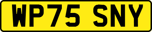 WP75SNY