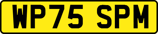 WP75SPM