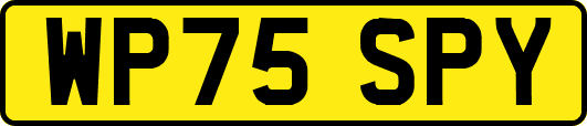 WP75SPY