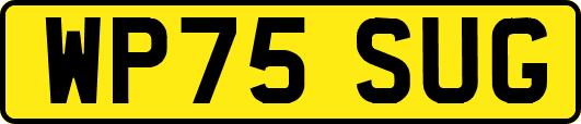 WP75SUG
