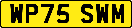 WP75SWM